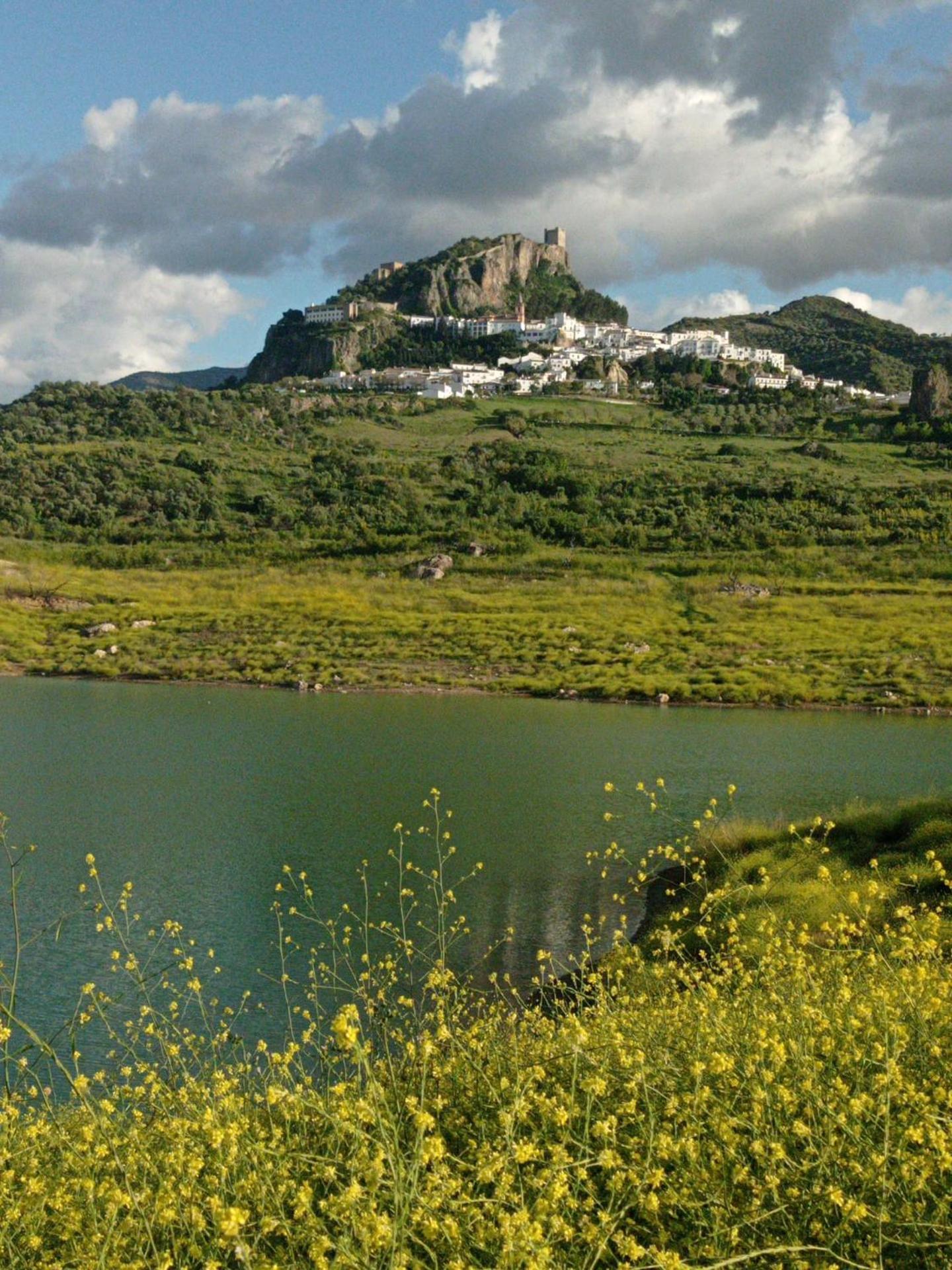 El Detalle Y Estudio Zahara De La Sierra